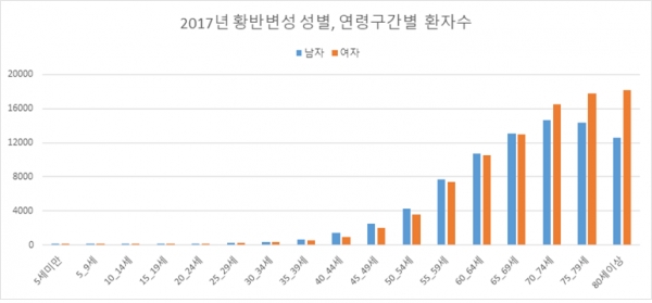(자료: 건강보호심사평가원- 2017년 황반변성 성별, 연령구간별 환자수)