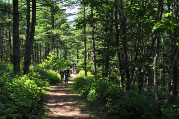 (출처= 강원도청) 2015년 체험교육 나눔 숲 조성사업