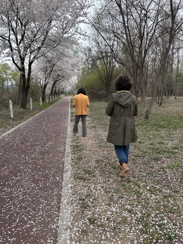 강원 춘천시 하중도 생태공원에서 맨발걷기를 하고 있는 시민들.